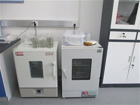 干燥箱恒温培养箱